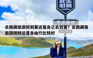 去西藏旅游团划算还是自己去划算？去西藏报旅游团好还是自由行比较好
