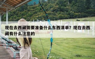 现在去西藏需要准备什么东西清单？现在去西藏有什么注意的