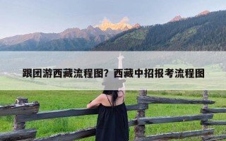 跟团游西藏流程图？西藏中招报考流程图