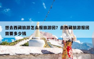 想去西藏旅游怎么报旅游团？去西藏旅游报团需要多少钱