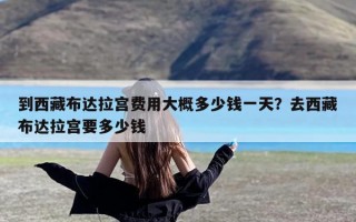 到西藏布达拉宫费用大概多少钱一天？去西藏布达拉宫要多少钱