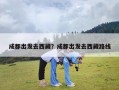 成都出发去西藏？成都出发去西藏路线