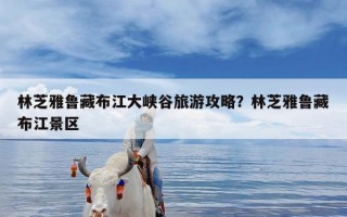 林芝雅鲁藏布江大峡谷旅游攻略？林芝雅鲁藏布江景区
