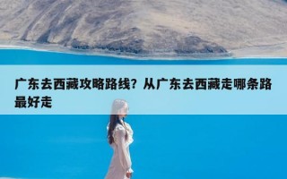 广东去西藏攻略路线？从广东去西藏走哪条路最好走