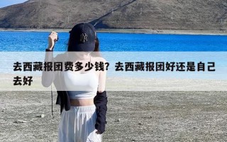 去西藏报团费多少钱？去西藏报团好还是自己去好