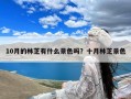 10月的林芝有什么景色吗？十月林芝景色