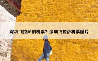 深圳飞拉萨的机票？深圳飞拉萨机票图片