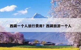 西藏一个人旅行费用？西藏旅游一个人