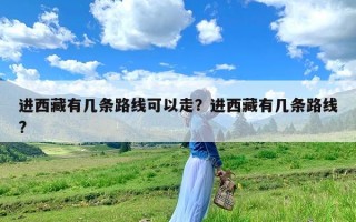 进西藏有几条路线可以走？进西藏有几条路线?