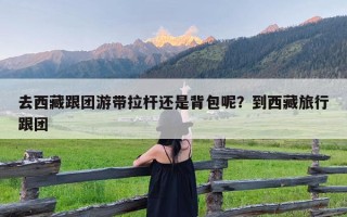 去西藏跟团游带拉杆还是背包呢？到西藏旅行跟团