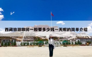 西藏旅游跟团一般要多少钱一天呢的简单介绍