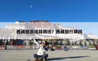 西藏旅游线路跟团？西藏旅行跟团