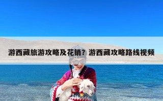 游西藏旅游攻略及花销？游西藏攻略路线视频