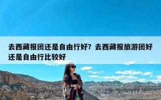 去西藏报团还是自由行好？去西藏报旅游团好还是自由行比较好