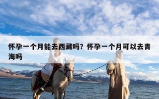 怀孕一个月能去西藏吗？怀孕一个月可以去青海吗