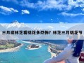 三月底林芝看桃花多恐怖？林芝三月桃花节