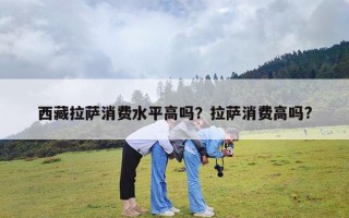 西藏拉萨消费水平高吗？拉萨消费高吗?