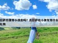 拉萨方便带小孩去吗？去拉萨给小朋友带什么礼物