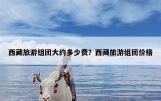 西藏旅游组团大约多少费？西藏旅游组团价格