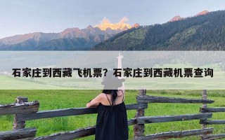 石家庄到西藏飞机票？石家庄到西藏机票查询