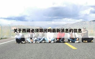 关于西藏必须跟团吗最新消息的信息