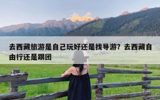 去西藏旅游是自己玩好还是找导游？去西藏自由行还是跟团