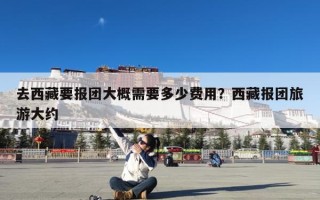 去西藏要报团大概需要多少费用？西藏报团旅游大约