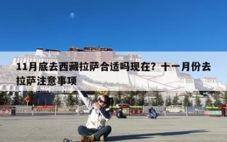 11月底去西藏拉萨合适吗现在？十一月份去拉萨注意事项