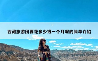 西藏旅游团要花多少钱一个月呢的简单介绍