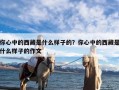 你心中的西藏是什么样子的？你心中的西藏是什么样子的作文