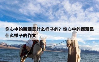 你心中的西藏是什么样子的？你心中的西藏是什么样子的作文
