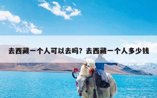 去西藏一个人可以去吗？去西藏一个人多少钱