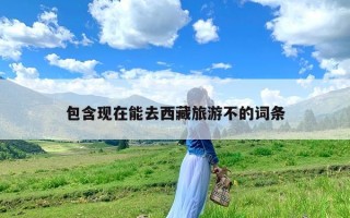 包含现在能去西藏旅游不的词条