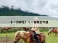 十一月林芝？十一月林芝气温