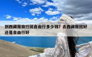 到西藏报旅行团自由行多少钱？去西藏报团好还是自由行好