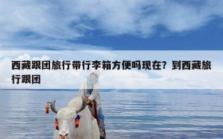 西藏跟团旅行带行李箱方便吗现在？到西藏旅行跟团