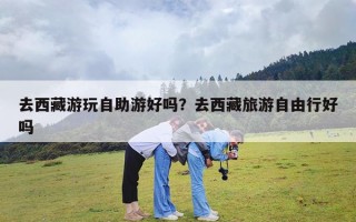 去西藏游玩自助游好吗？去西藏旅游自由行好吗