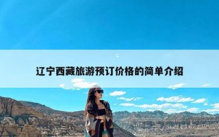 辽宁西藏旅游预订价格的简单介绍