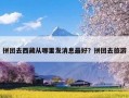 拼团去西藏从哪里发消息最好？拼团去旅游