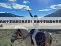 西藏冬季旅游优惠政策？西藏冬季旅游免费景点