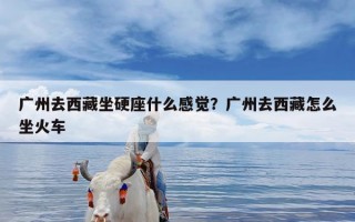 广州去西藏坐硬座什么感觉？广州去西藏怎么坐火车