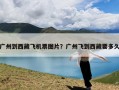 广州到西藏飞机票图片？广州飞到西藏要多久