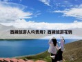 西藏旅游人均费用？西藏旅游花销