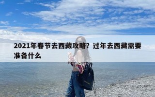 2021年春节去西藏攻略？过年去西藏需要准备什么
