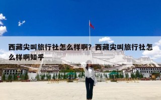 西藏尖叫旅行社怎么样啊？西藏尖叫旅行社怎么样啊知乎