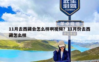 11月去西藏会怎么样啊视频？11月份去西藏怎么样