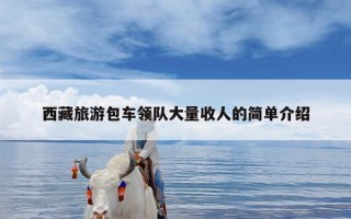 西藏旅游包车领队大量收人的简单介绍