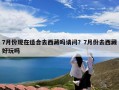 7月份现在适合去西藏吗请问？7月份去西藏好玩吗
