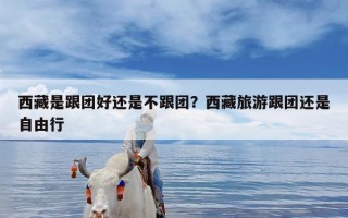 西藏是跟团好还是不跟团？西藏旅游跟团还是自由行