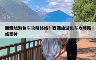 西藏旅游包车攻略路线？西藏旅游包车攻略路线图片